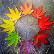Happy Autumn Equinox!
