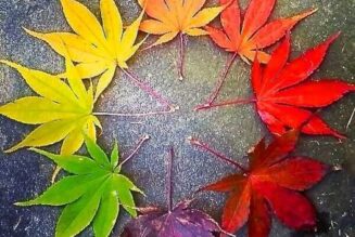 Happy Autumn Equinox!