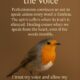 The Story of the Silent Songbird