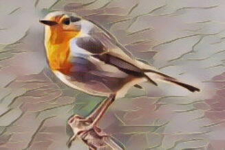 The Story of the Silent Songbird