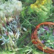 Magickal Herbal House Washes