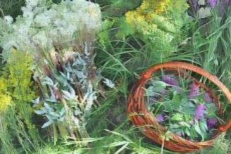 Magickal Herbal House Washes