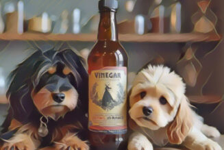 Vinegar Tips for Pets: