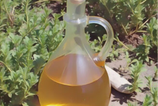 Vinegar Tips for the Garden: