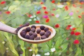 Wildflower Seed Bombs