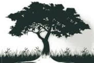 A Modern Celt: Seeking the Ancestors