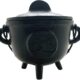 Pagan Cauldron