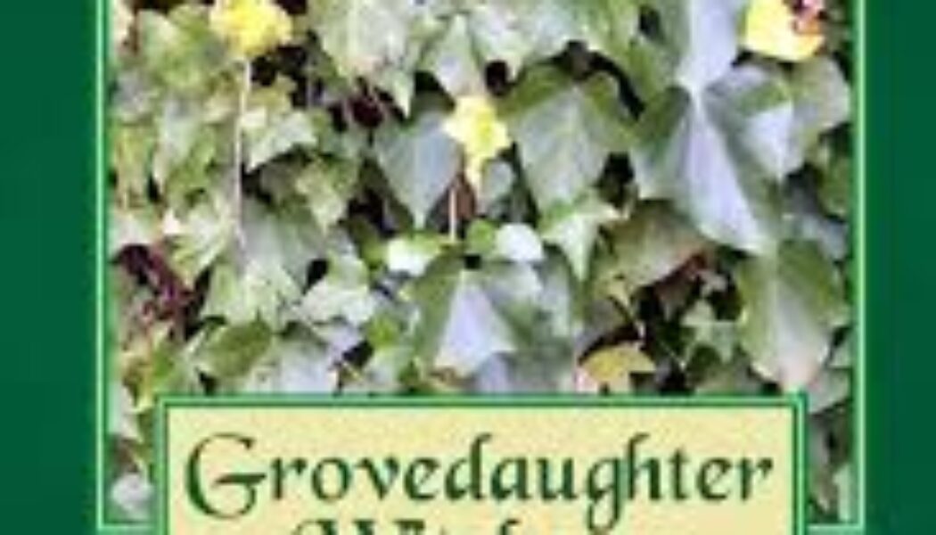 Grovedaughter Witchery: Practical Spellcraft