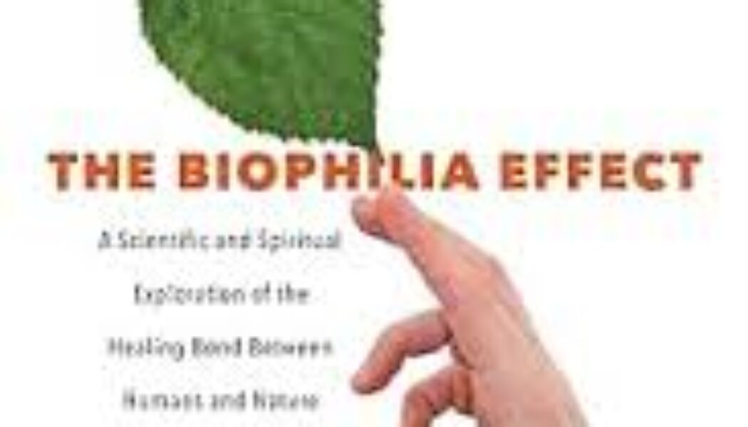 The Biophilia Effect: A Scientific and Spiritual Exploration of the Healing Bond Between Humans and Nature