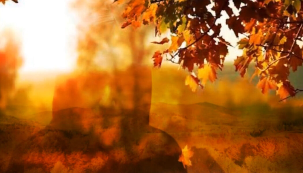Honouring the Autumn Equinox: A Solitary Pagan Witch’s Reflection