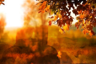 Honouring the Autumn Equinox: A Solitary Pagan Witch’s Reflection