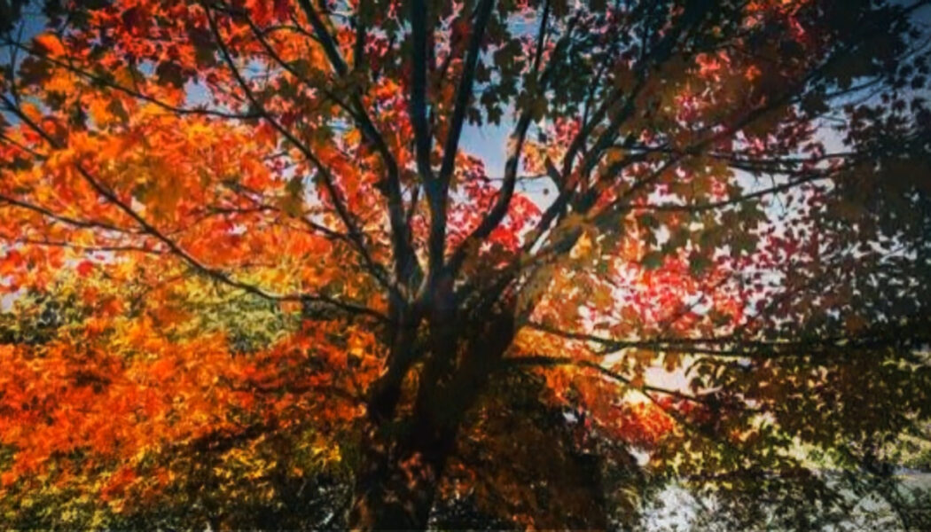 Prosperity Magic at the Autumn Equinox
