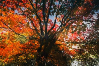 Prosperity Magic at the Autumn Equinox