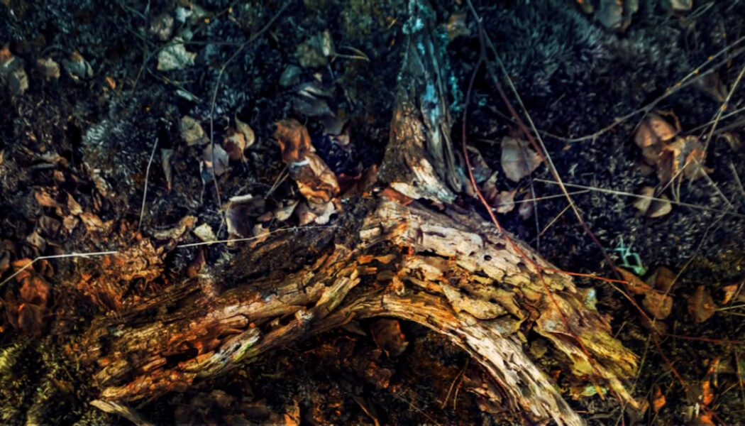 Autumn Equinox Correspondences for the Solitary Pagan Witch