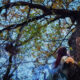 The Solitary Pagan Witch and the Unpredictable Nature of Magick 7 Magick Cannot Always Be Repeated